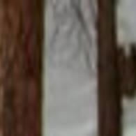 1 000 Words Up To The Antlers In Snow Local Azdailysun Com