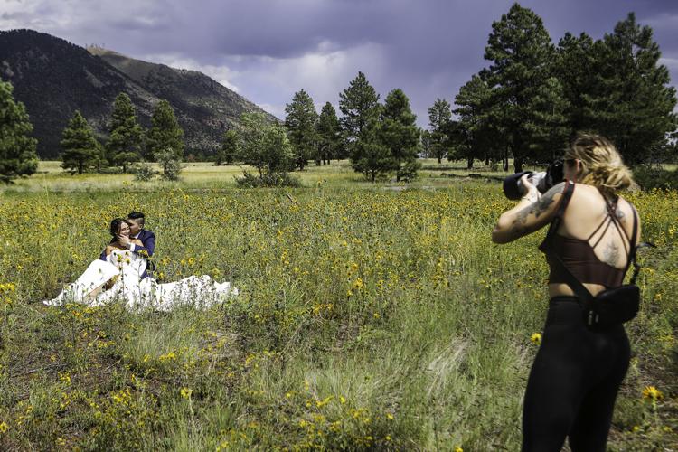 Gallery A sunflower's time to shine in Flagstaff Local News