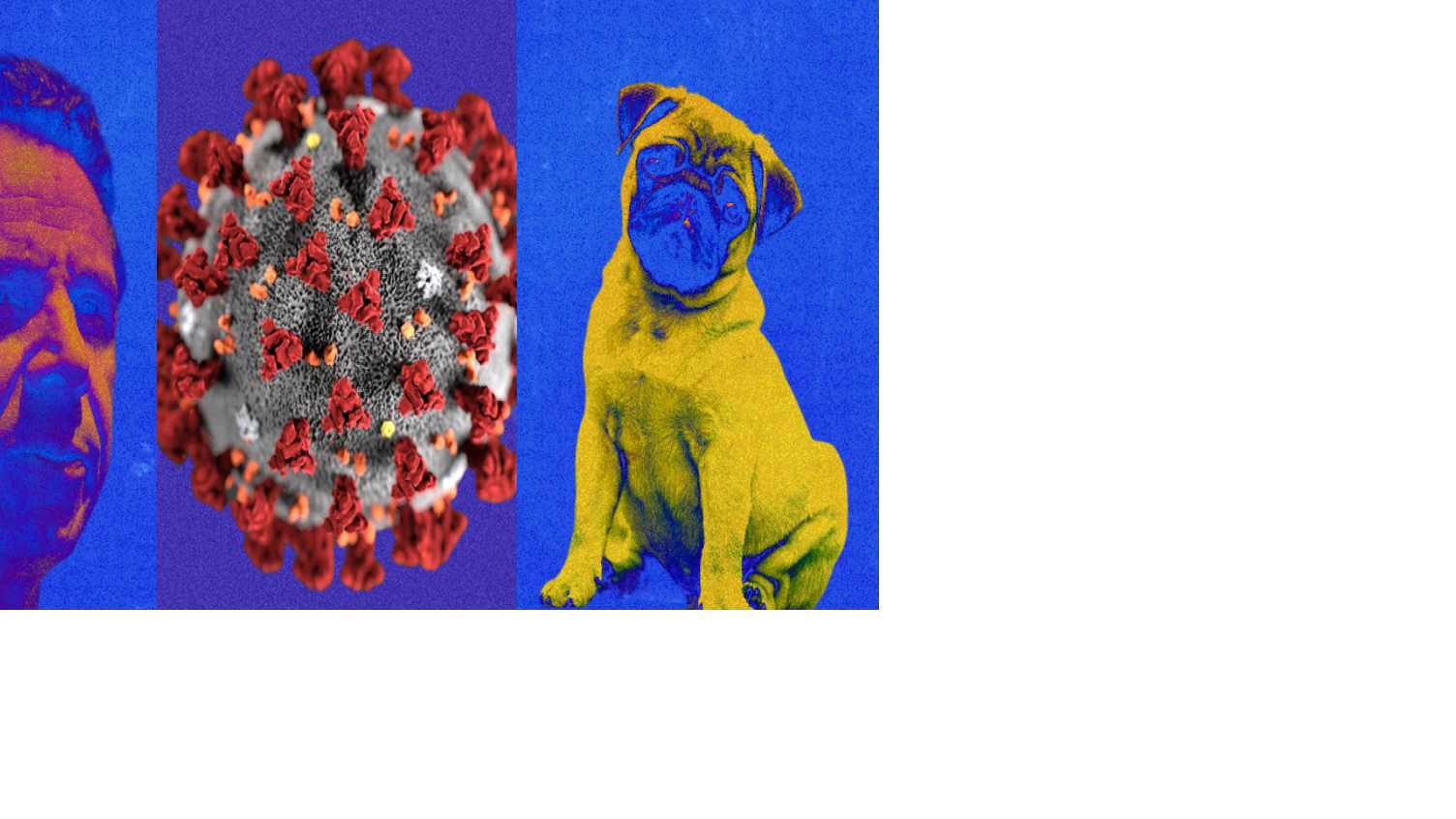 What's maskne? Test your fluency in pandemic lingo