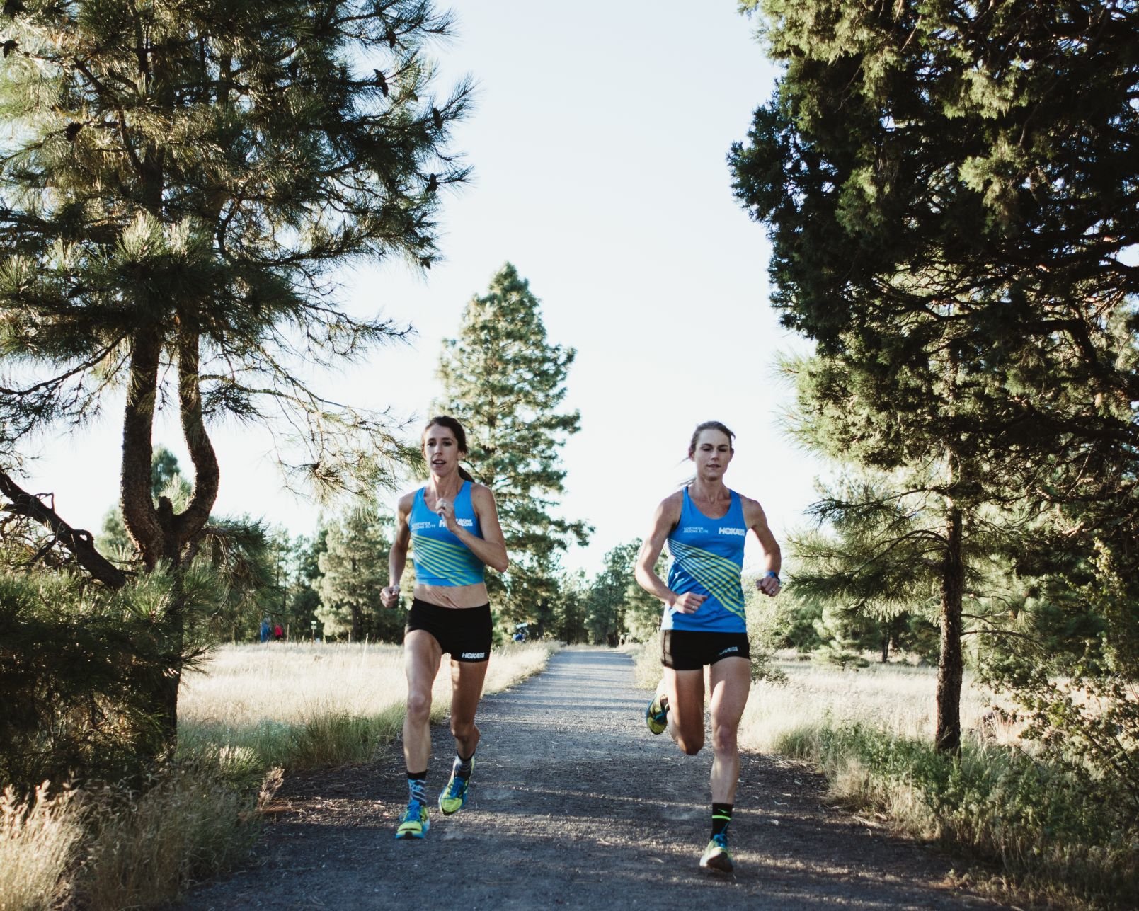 hoka one one naz elite