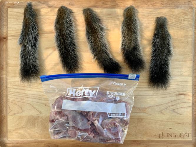 Squirrel Meat