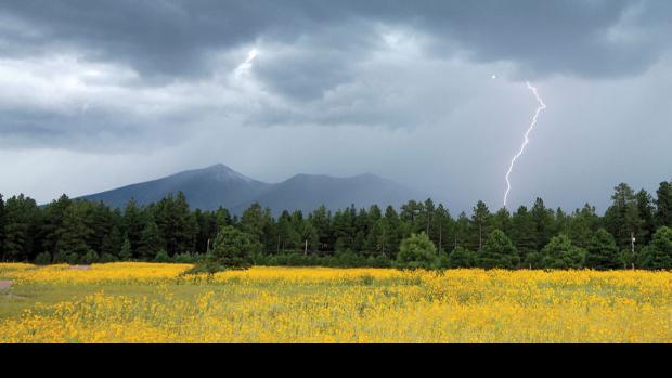 Looming monsoons pose challenge for crews battling wildfires
