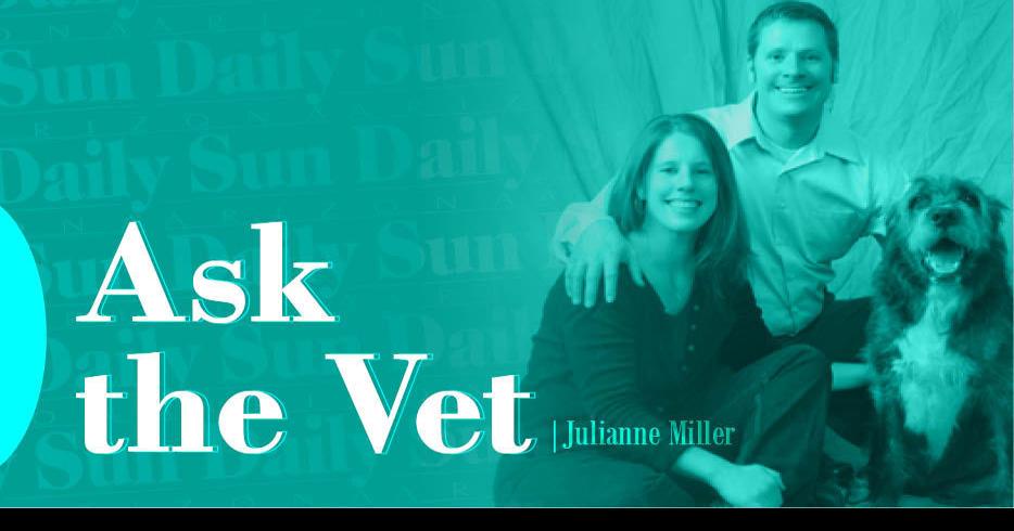 Ask The Vet: Helping your pet deal with extreme heat