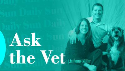 Ask the Vet