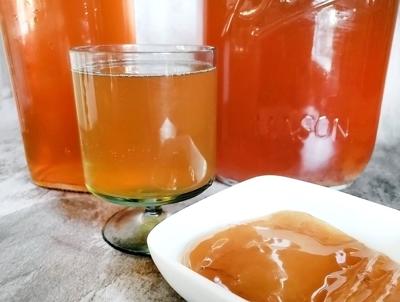 Kombucha crop