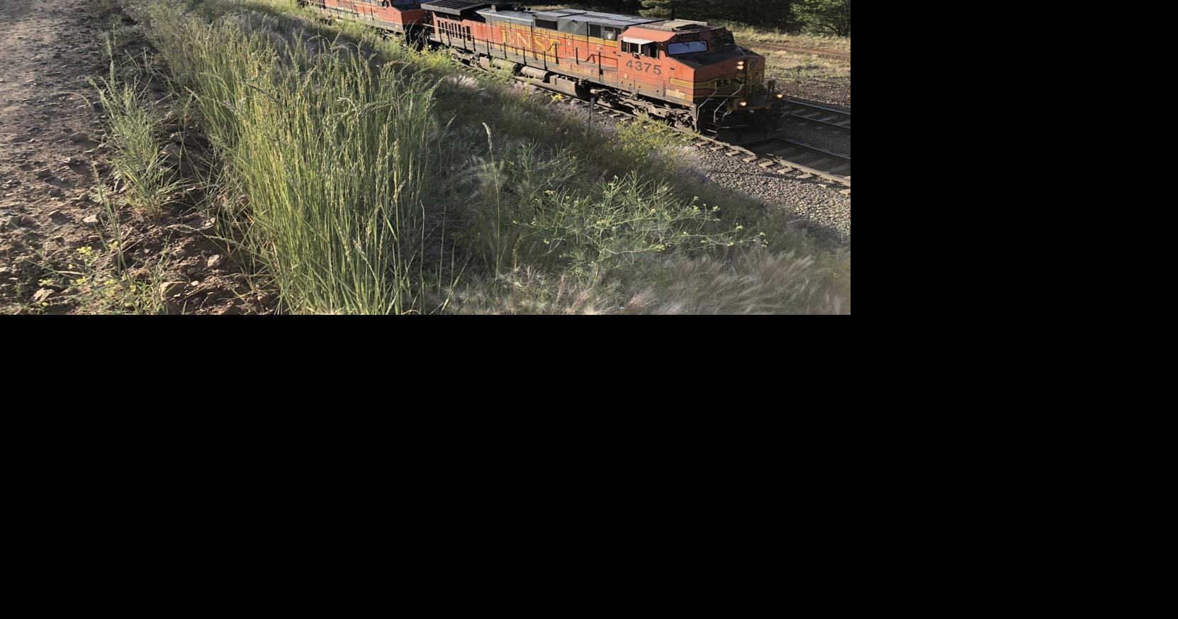 Pedestrian killed by train in Flagstaff on Saturday | Local News ...