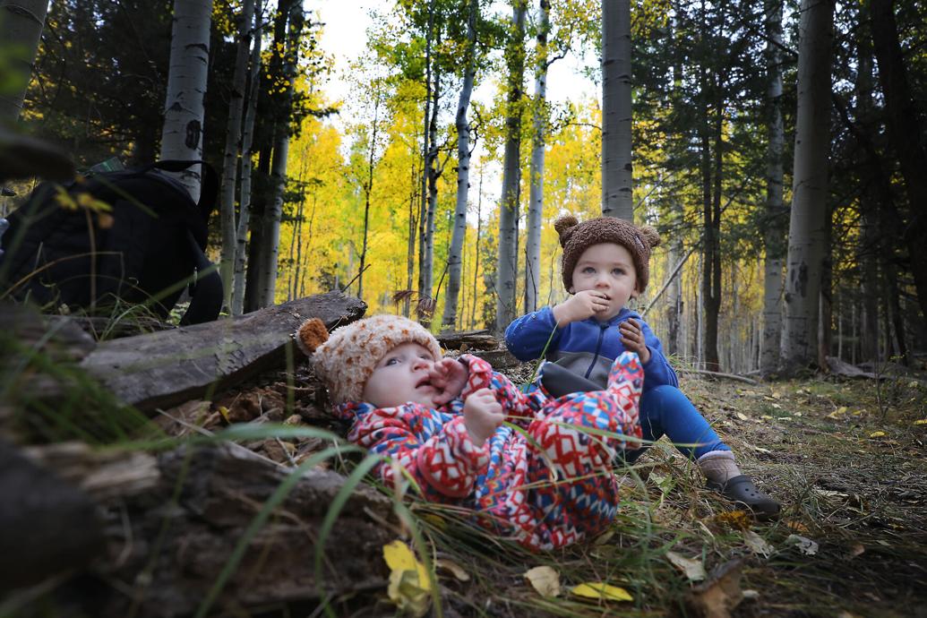 Flagstaff History Hell was raised over Bright Angle Local News