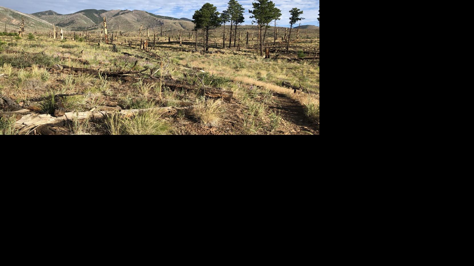 A trail that exceeds expectations