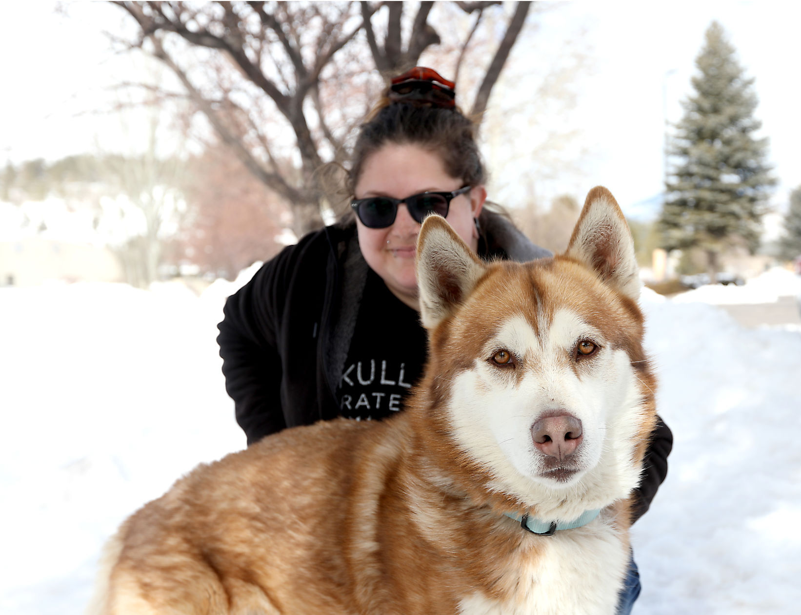 Call of the Wild: Husky found after 28-day mountain odyssey