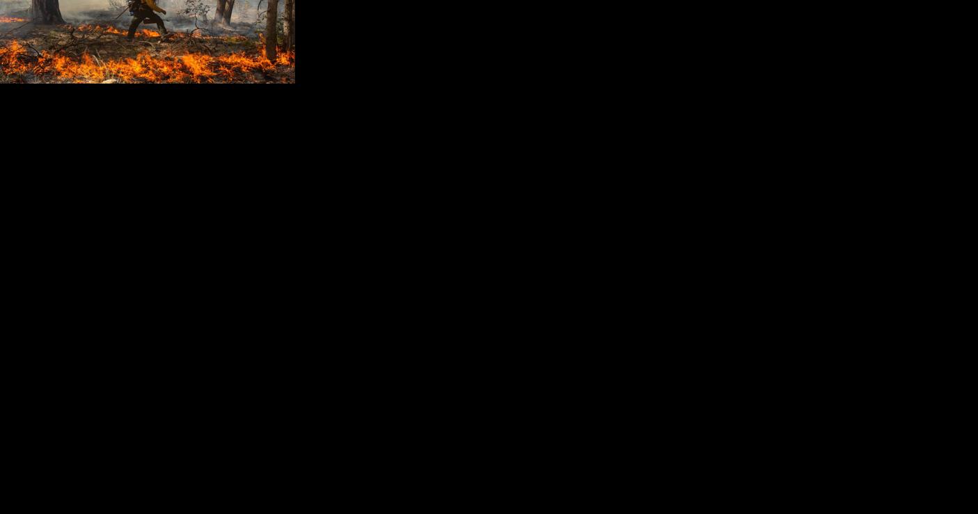 With red flag weather expected, work on several northern Arizona fires continues - Vimarsana News