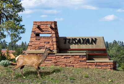 Town of Tusayan