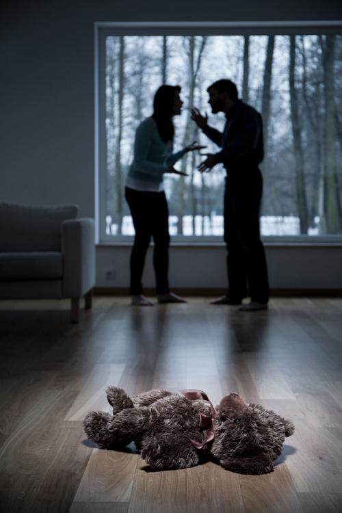 LIFE FAM-DIVORCE-SHAREDCUSTODY MS