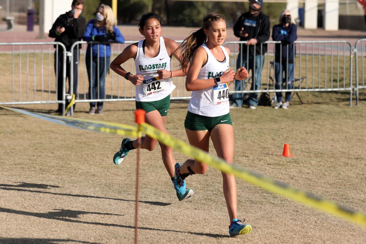 Gallery Division II and DIV cross country state championships