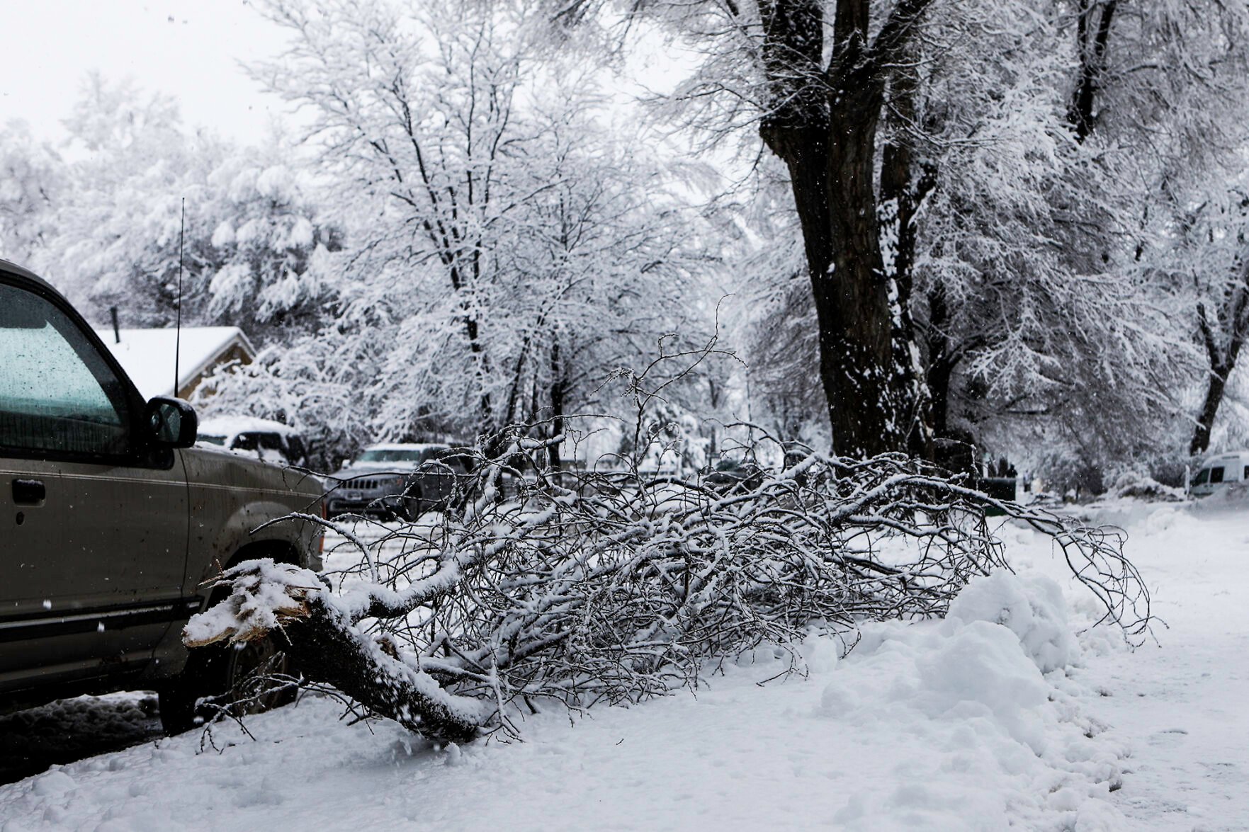 Heavy Snow Falls in Flagstaff