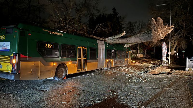 Deadly Storm Pounds Northwest, Leaving Half A Million Without Power ...