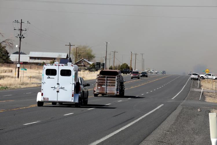 Evacuating Livestock (copy)