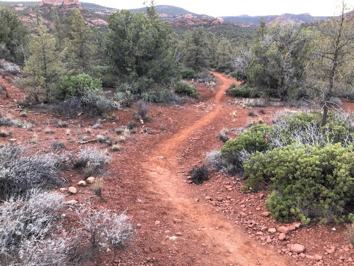 Enjoy the remoteness of the Turkey Creek hill climb News