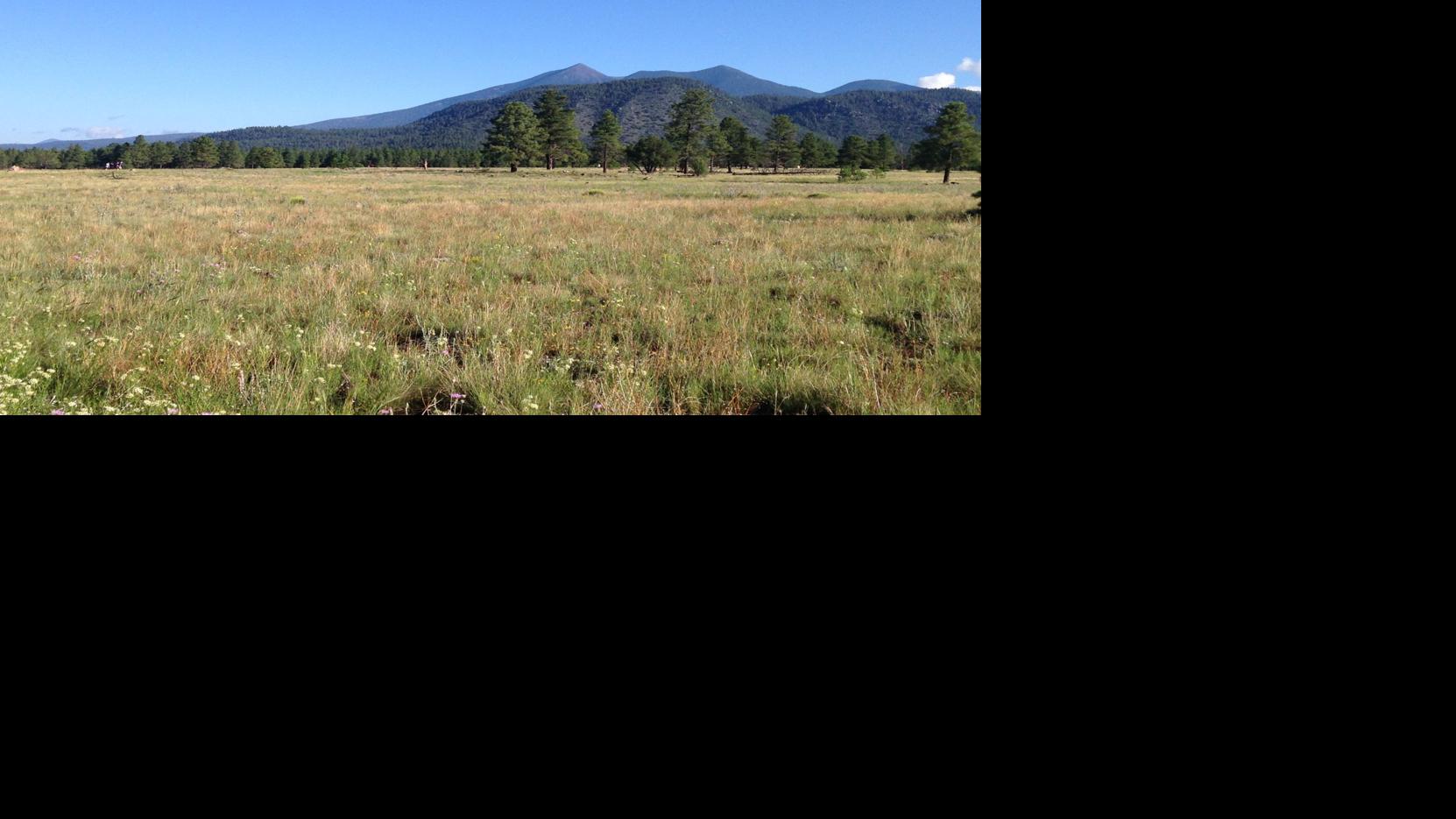 High Country Running: Control the controllables