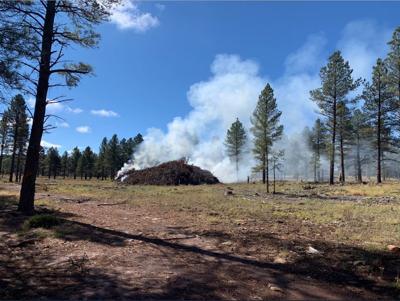 Pile Burn