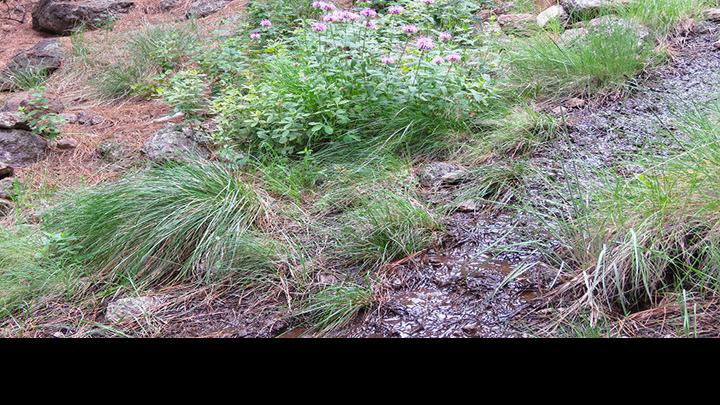 Ask a Ranger: Antoine Leroux, explorer and guide