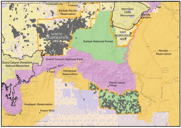 Study: Uranium contamination minimal