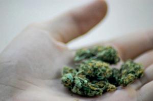 Arizona Supreme Court: Medical marijuana on university campus not subject to arrest