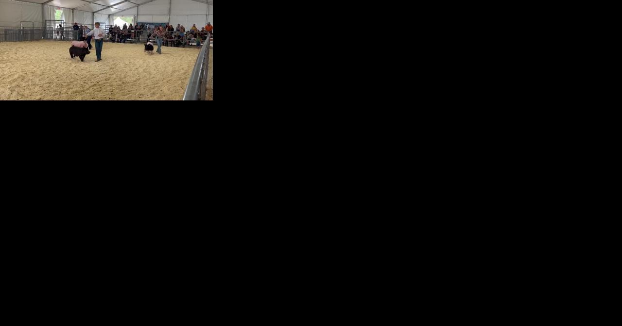'We stay busy': Setup is no simple task as Coconino County Fair begins - Vimarsana News