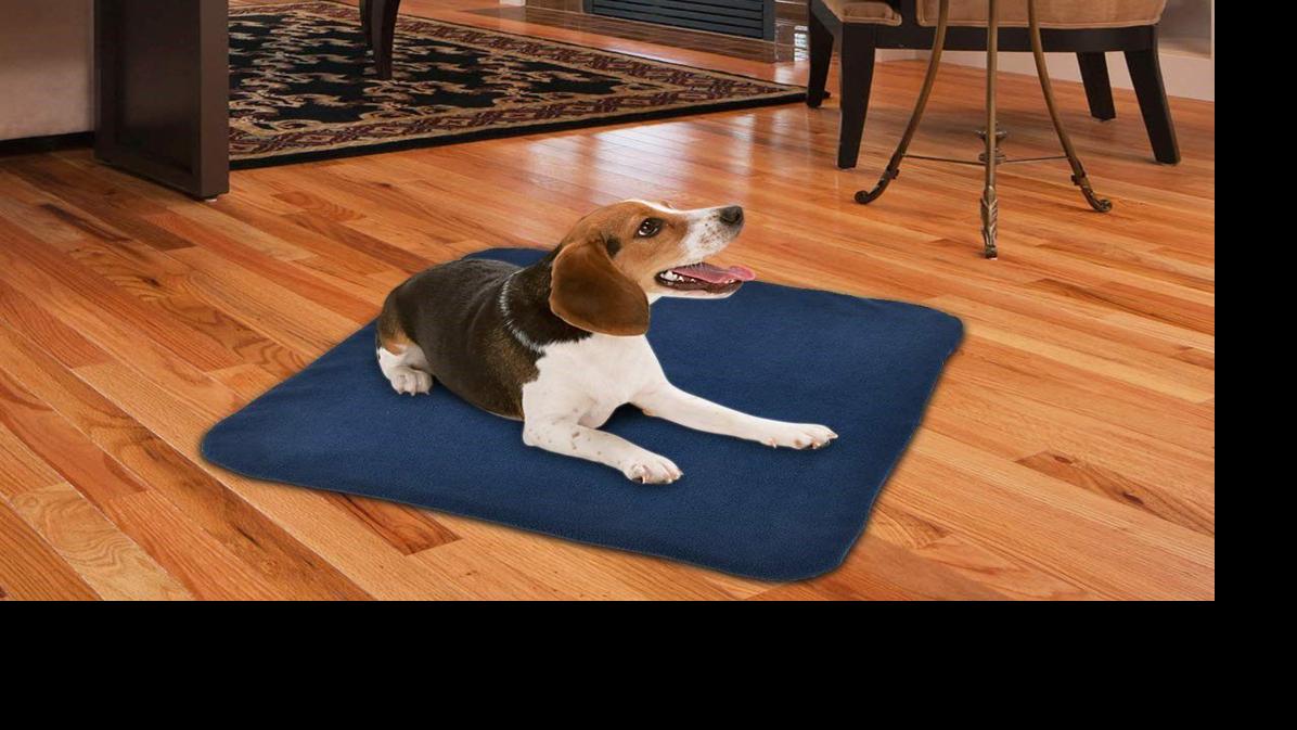Amazon shoppers are raving about this heated pet mat