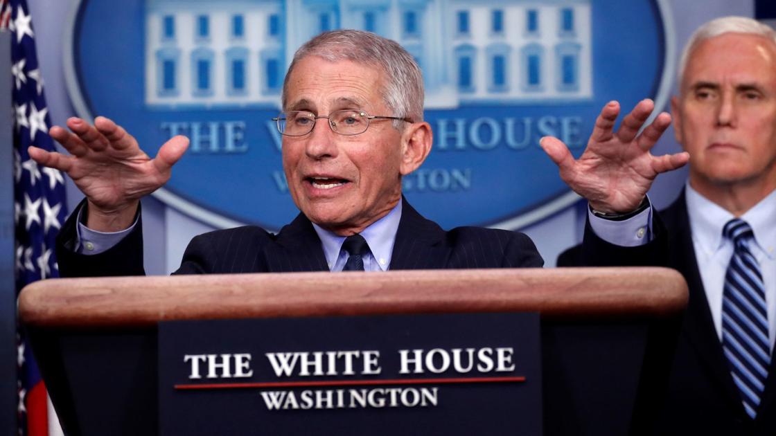 Coronavirus Update Fauci Puzzled By How Virus Affects Healthy
