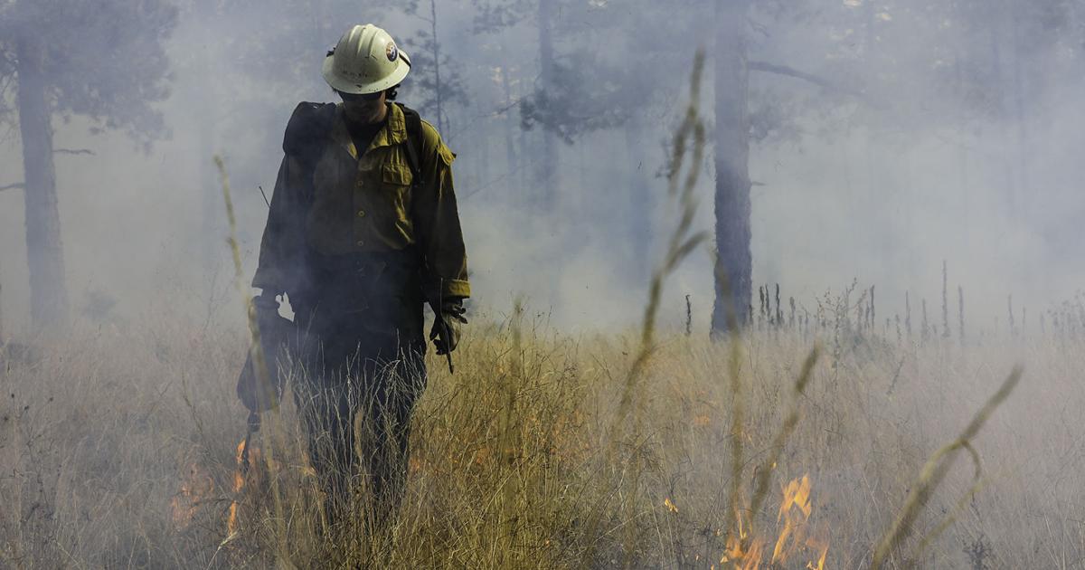 City looks to several prescribed burns south, east of Flagstaff this fall, thinning near Lowell Observatory