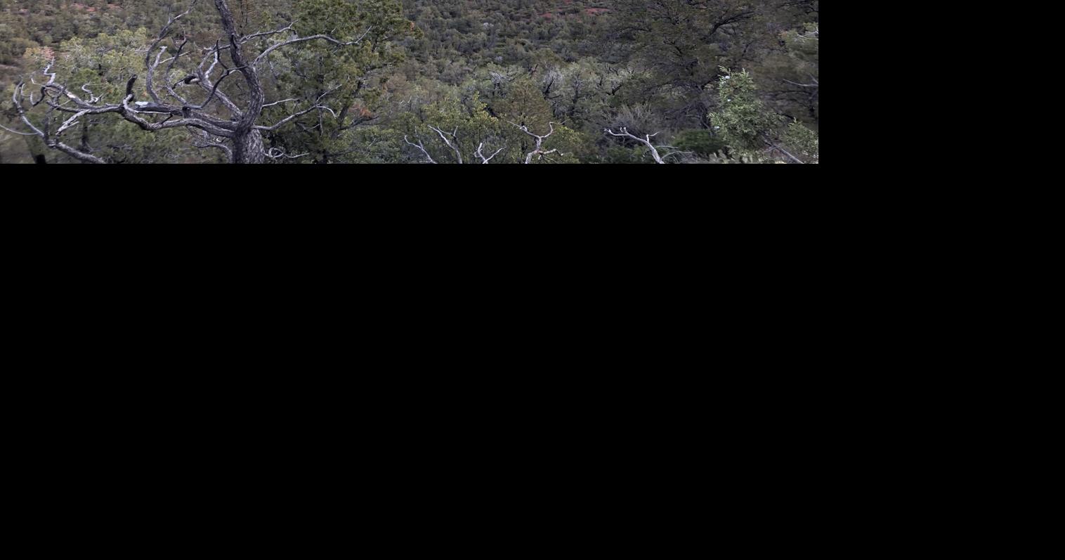 Red Rock Ranger District to begin overhauls to Turkey Creek area trail ...
