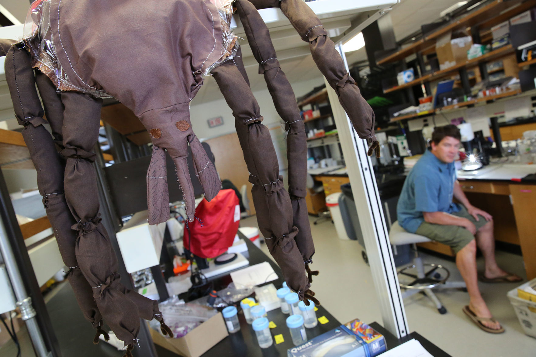 nieto lab tick testing nieto lab tick testing