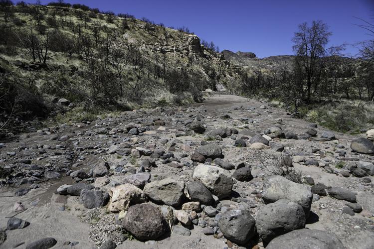 SUNDAY FEATURE: Surveying Fossil Creek one year after Backbone Fire