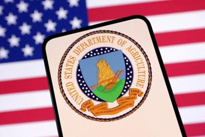 FILE PHOTO: Illustration shows United States Department of Agriculture logo and U.S. flag