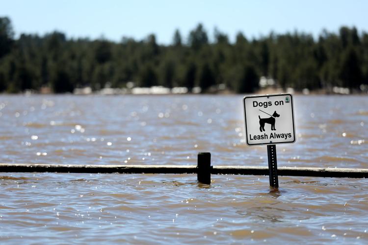 Forest Service responds to leaking levee at Lower Lake Mary