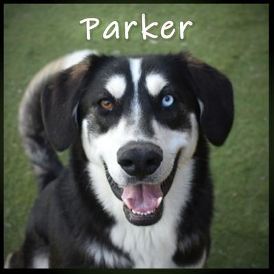 Parker