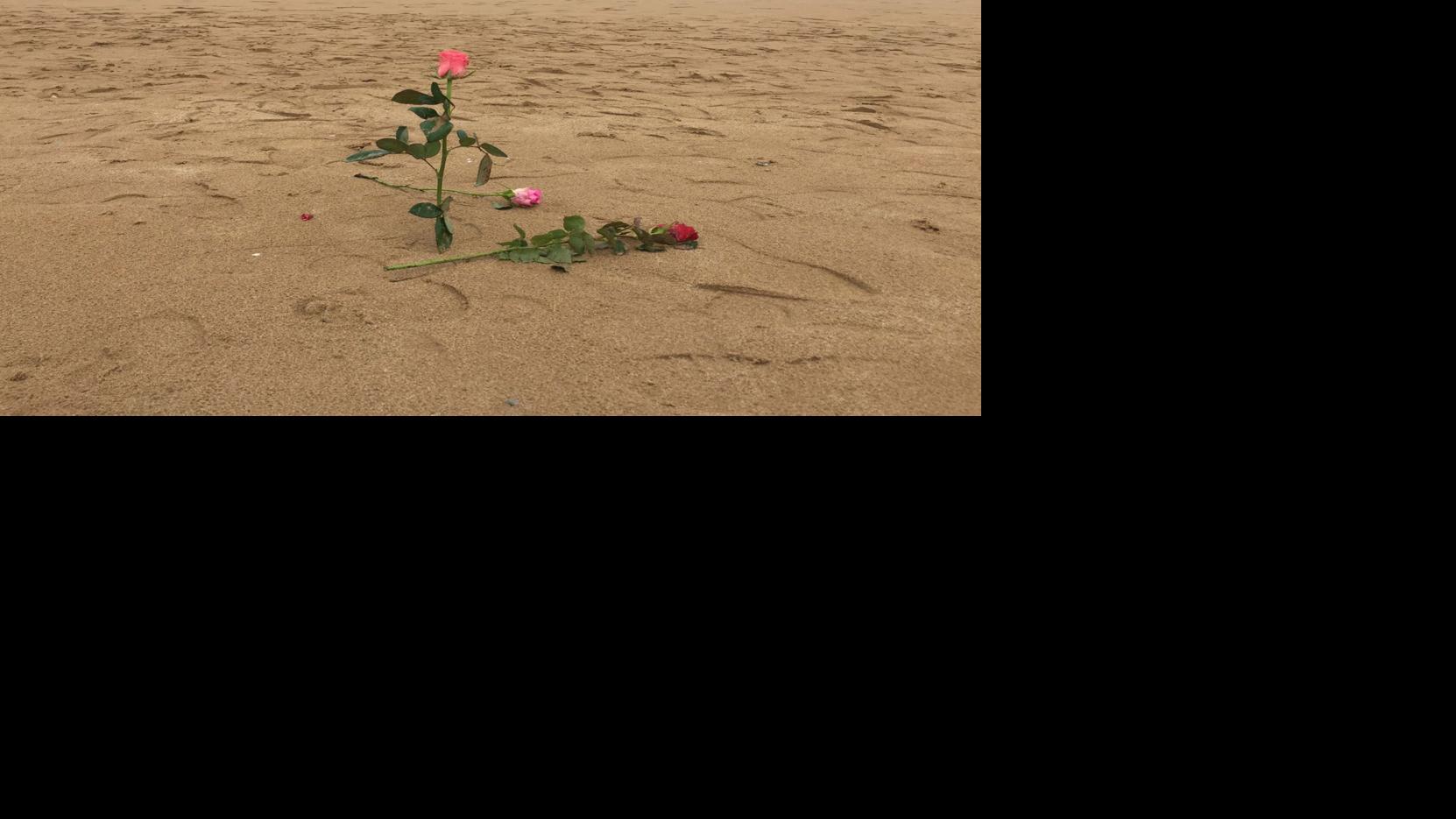 A Normandy pilgrimage for a father who served