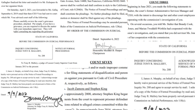‘Undue influence’: Public defenders’ work can be undermined by judges, local officials