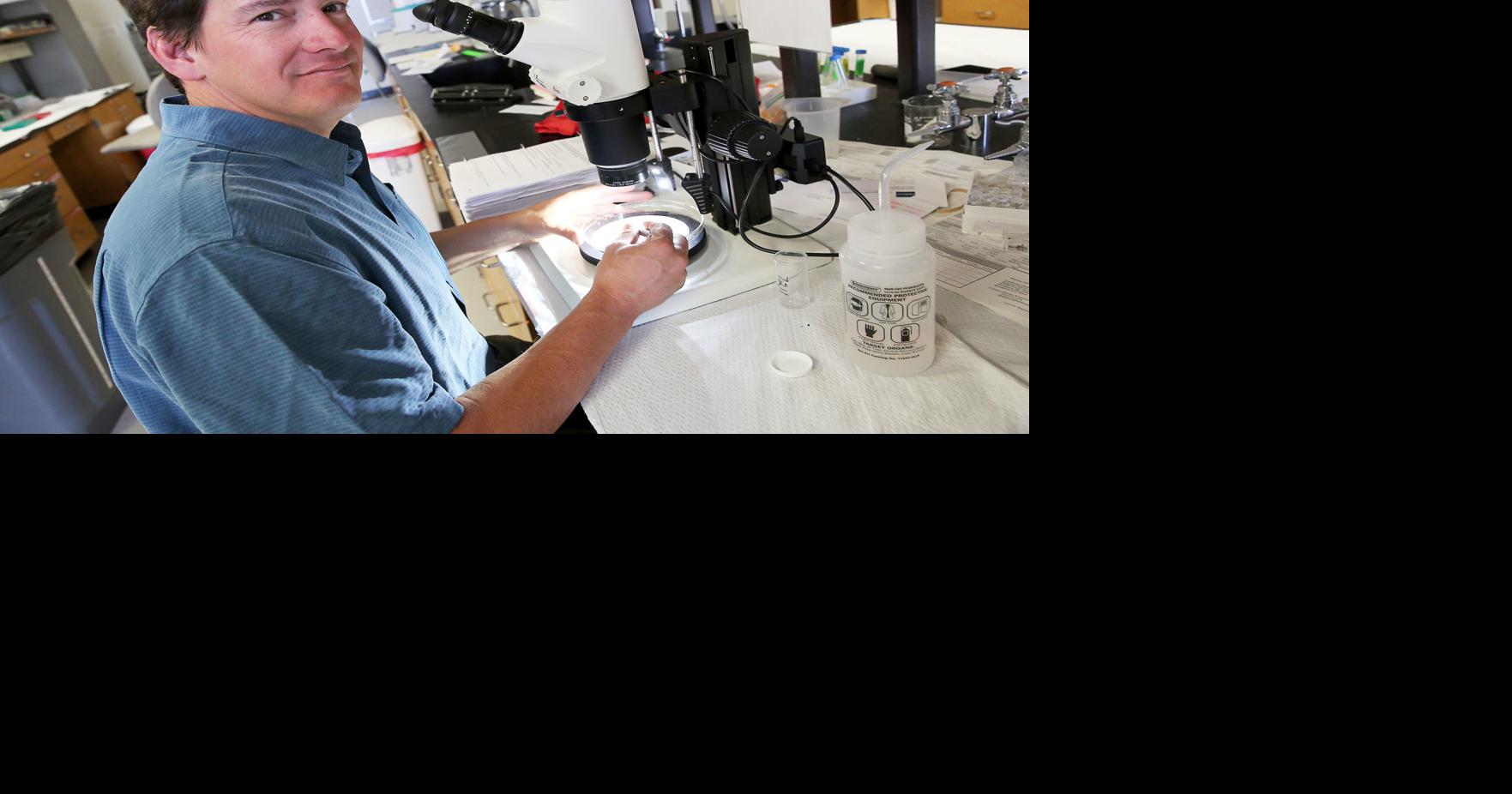 NAU professor rounds up thousands of samples to map ticks carrying Lyme ...