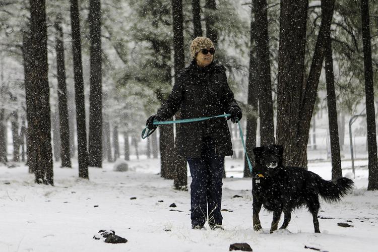 Flagstaff to Receive More Snow
