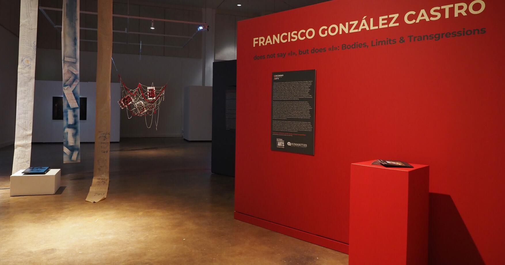 Transgressive empathy: Coconino Center for the Arts exhibition encourages viewers step outside comfort zone - Vimarsana News
