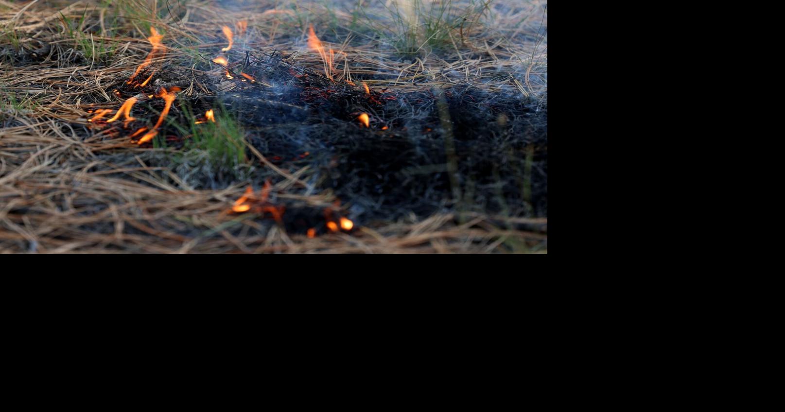 Prescribed burn projects continue north, west of Flagstaff