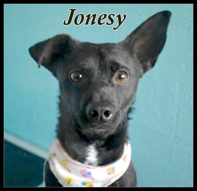 Jonesy