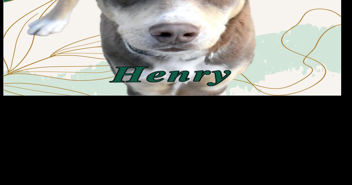 Henry