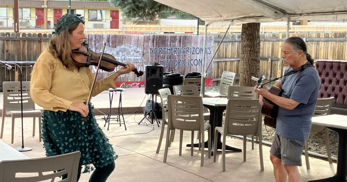 Wild Fiddle Wild World Irish Fiddle St. Patrick’s Day Immigrant Concert | Music ...