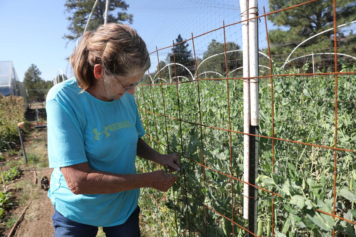 Drought Hits Local Farmers