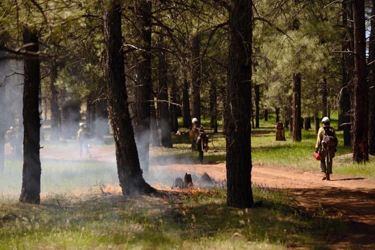 Flagstaff Hotshots