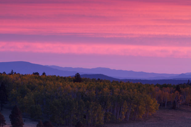 Fall twilight