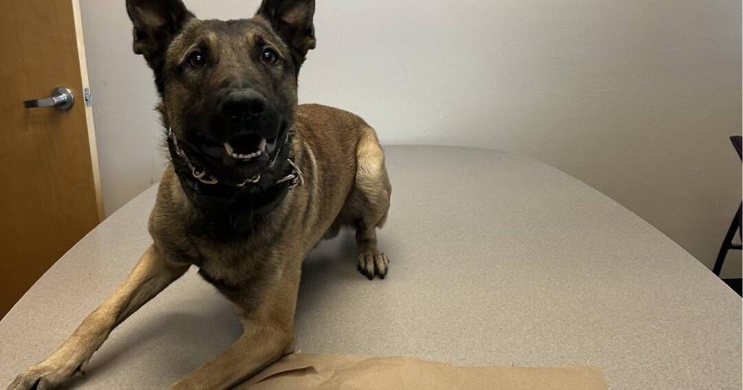 Coconino County Sheriff's Office seizes fentanyl pills during traffic ...