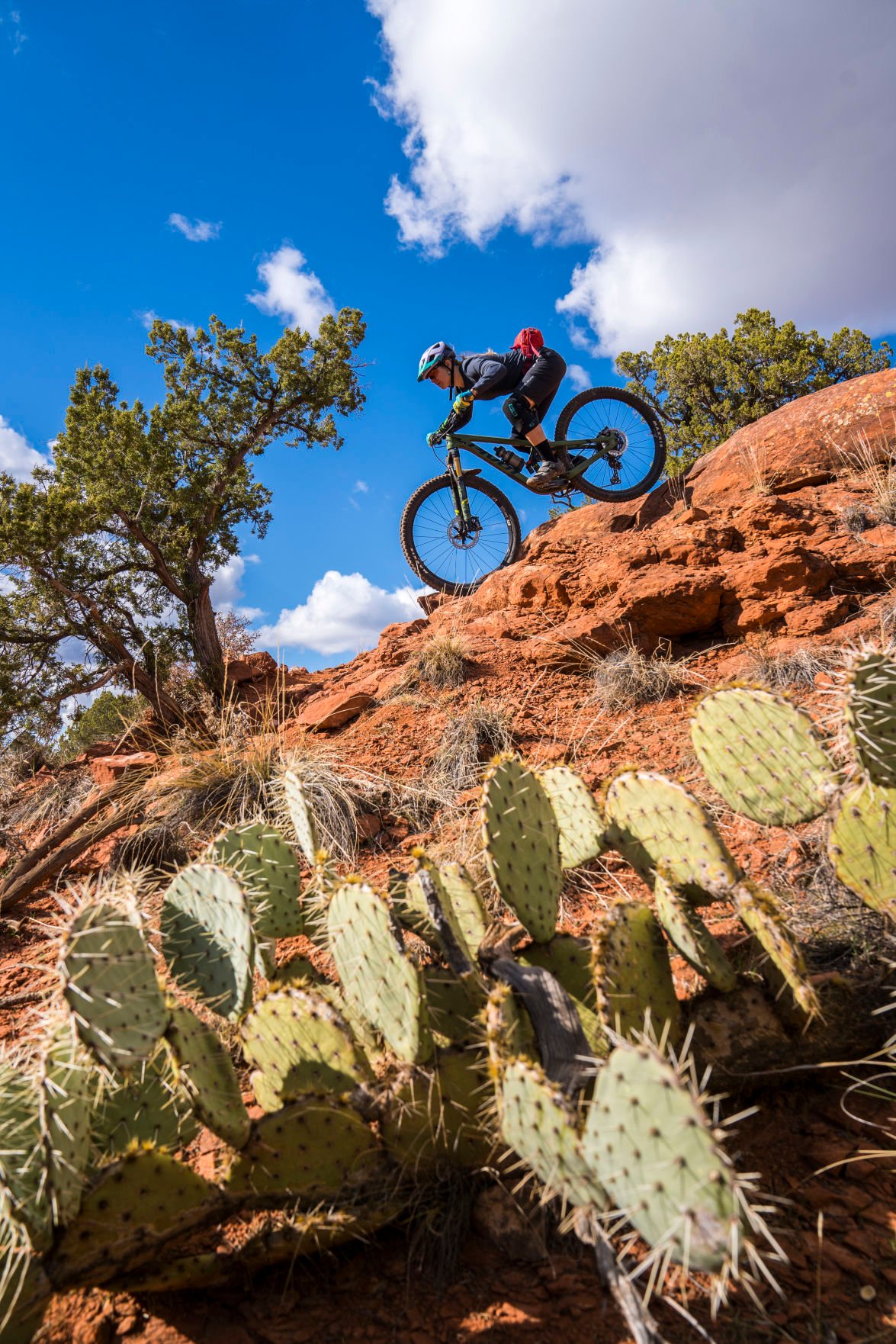 COVER-99 Things to do in Northern Arizona